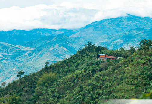 San josé