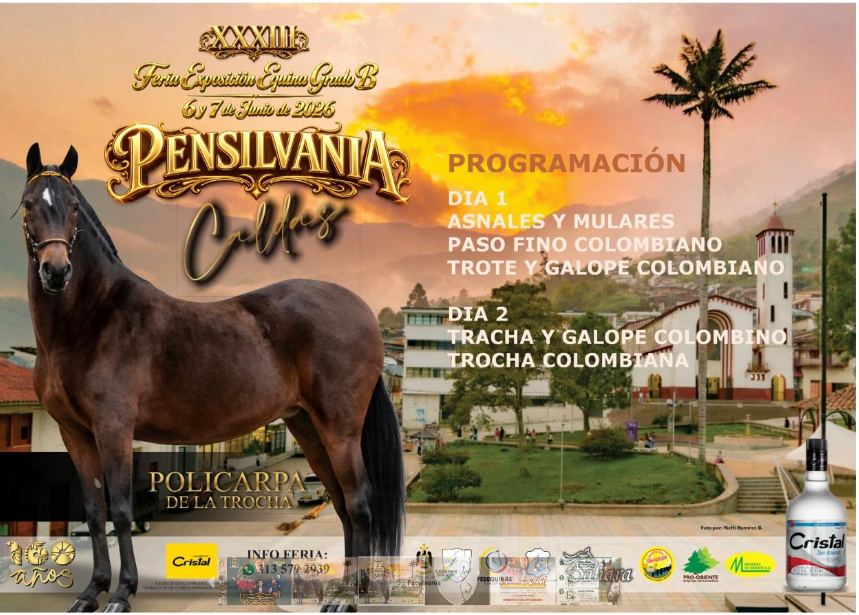 Afiche de XXXIII Feria Exposición Equina Grado B