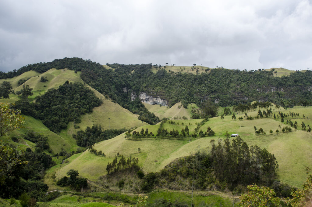 Marulanda, foto 1 de 15